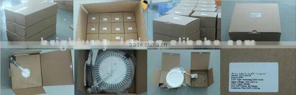 Mordern ceiling LED light with UL LED driver 3 year warranty