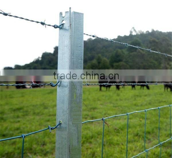 Green paint steel studded t post for USA market