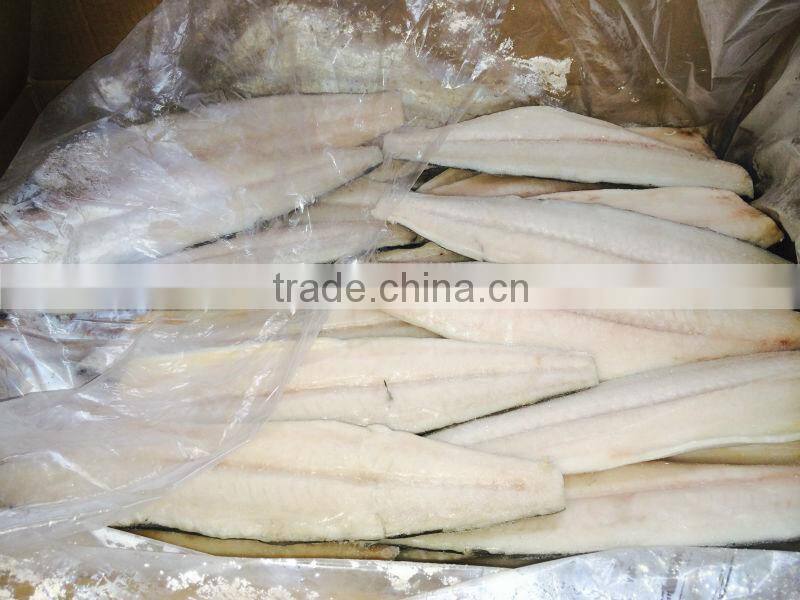 frozen spanish mackerel fillets