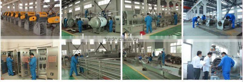 Hot sell Apple crush machine from KAAE