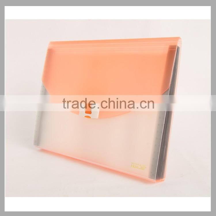 Plastic document case portfolio folder business file expanding bag with 12 pockets