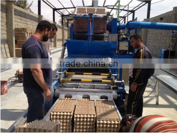 Automatic pulp molding production lines for egg tray