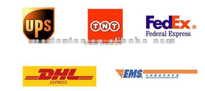 High Quality Led Drl 4000C27520 for Santana