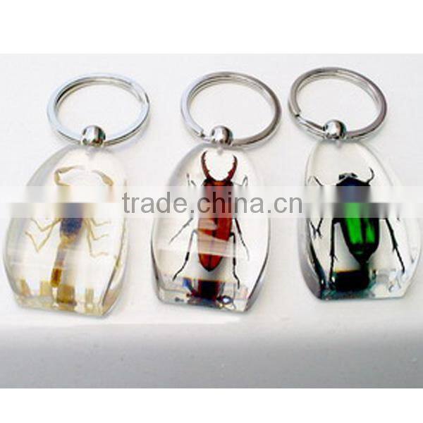 Typical resin animal keychain pendant/cheap key chains model