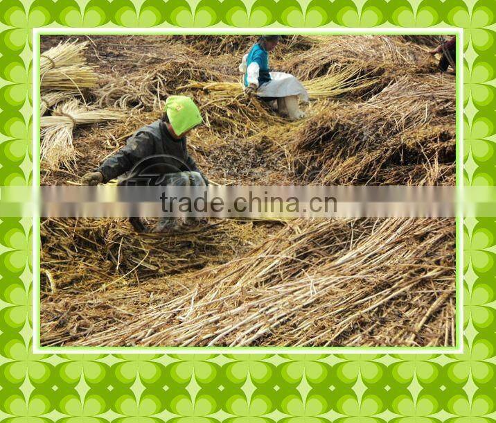 cheapest 100% Handmade Bamboo Cute Storage Picnic Boxes