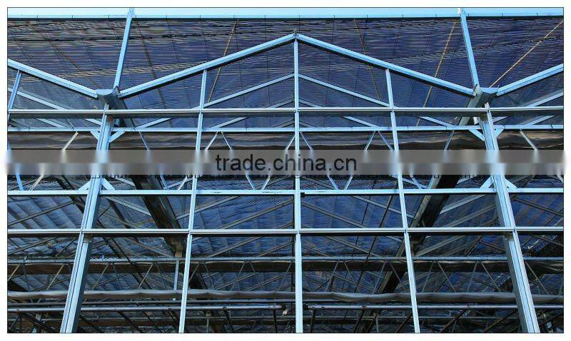 Large Span Glass Multi-span Greenhouse