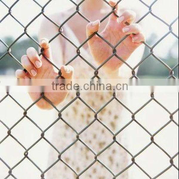 Galvanized Chain Link Fence Gardens