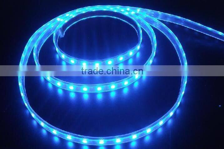 Shenzhen manufacturer 2835smd led strips 60leds/M