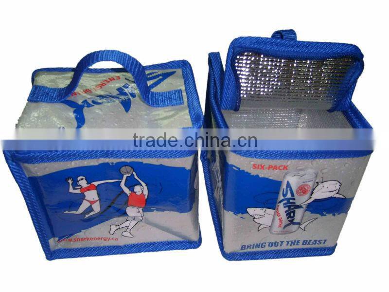 small collapsible cooler bag