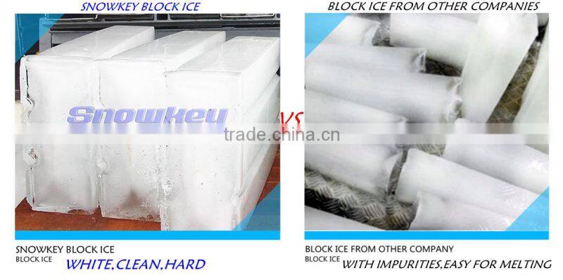High Quality 1 Ton Block Ice Machine Block Making machine Block Ice Plant