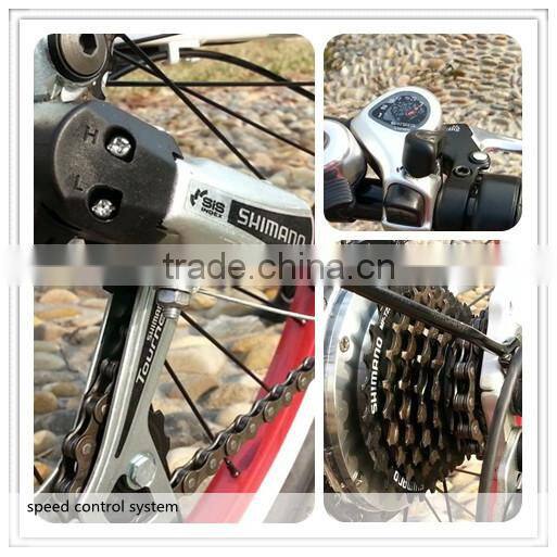 buy green female city electric bike electric dirt bikes for adults with CE, EN15194