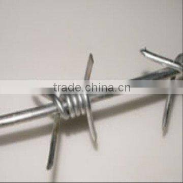 barbed wire