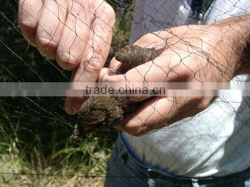 Bird Mist Nets, Bird Netting For Sale