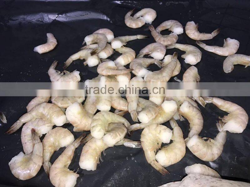 Frozen vannamei white shrimp hlso BQF seafood