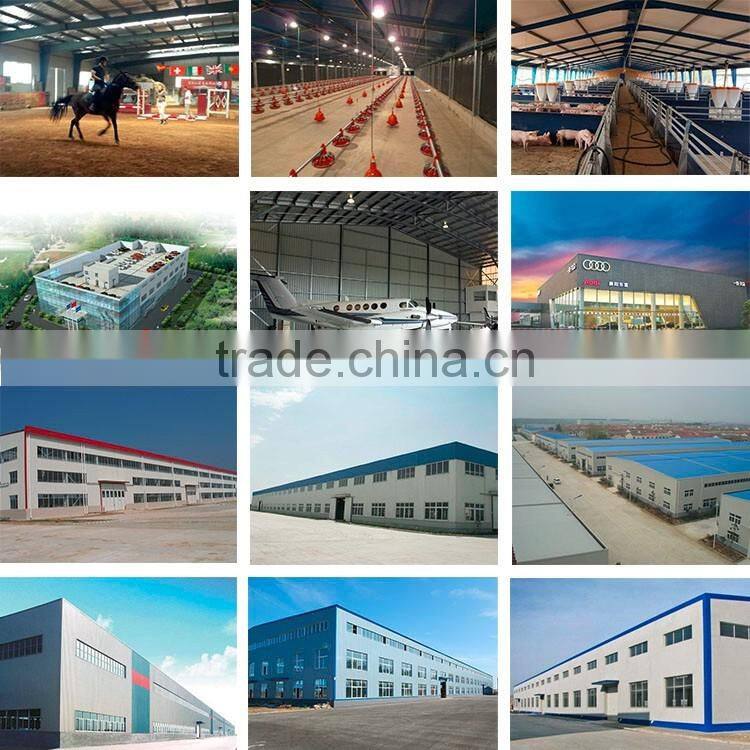 China low price steel buildings for warehouse with CE certificate