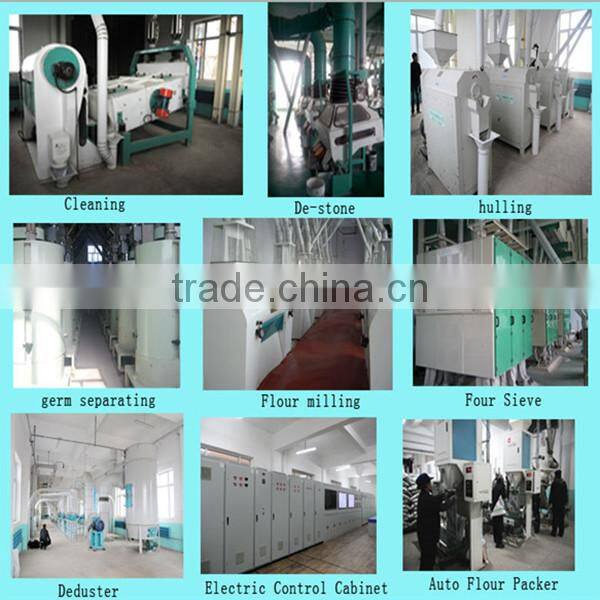 European standard 100tpd maize mill for maize grits and flour