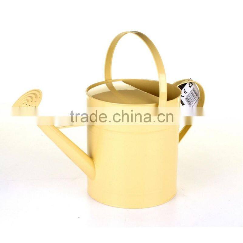 Metal Galvanised Steel Watering Can 9 Litre Garden Water Plants Green Cream Galvinised (Silver)