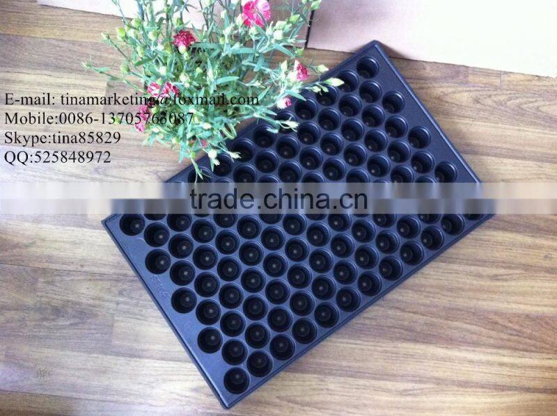 Growing Vegetable Transplants in Plug Seed Nursery Trays 8 Cell