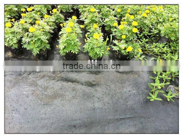 Best selling weed mat 2017 high quality grass mat for greenhouse
