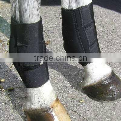 2012 new fashional neoprene horse ankle boots wraps