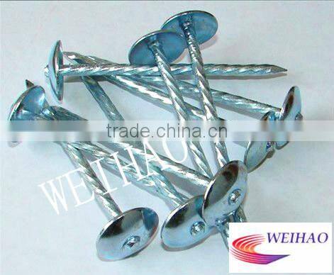 umbrella head roofing nails