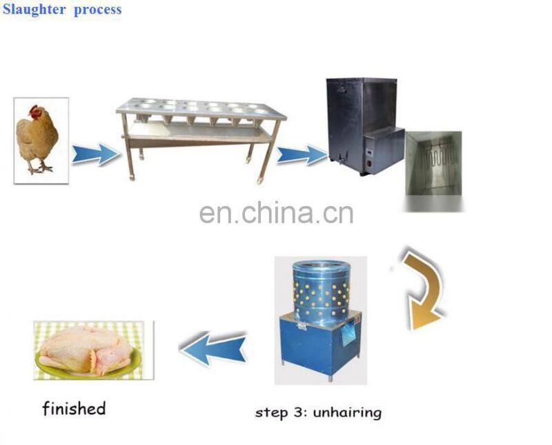 Various sizes poultry birds process chicken dressing machine plucker with high quality chicken plucker scalder machine