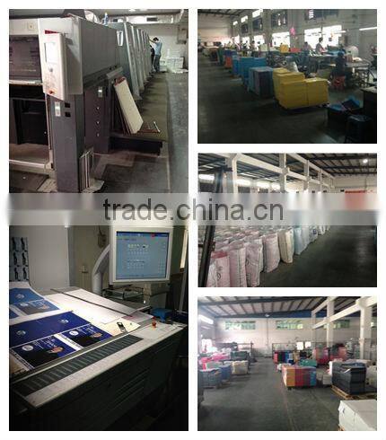 hot sale document file folder a4 plastic clear pocket file folder