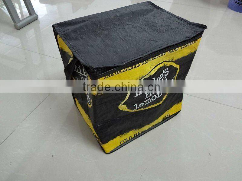 cooler bag for frozen food