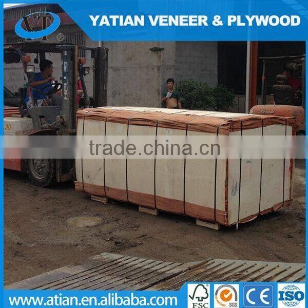 competity price 0.3mm rotary cut bintangor veneer