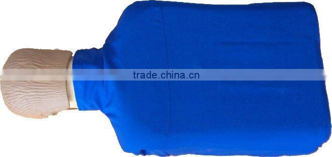 pathology Transparent teeth model