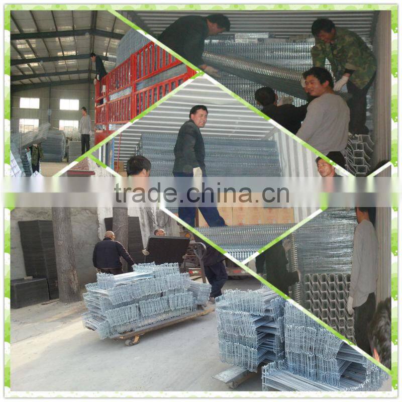quail cage for sale & layer quail cage for poultry farm equipment