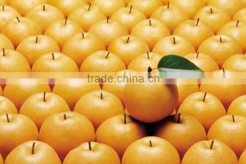 effectual for selling fragrant pear