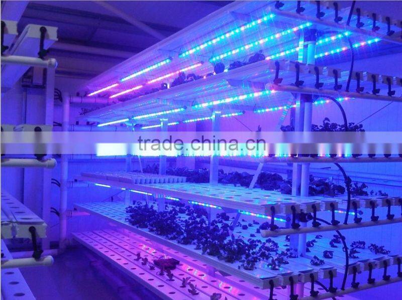 300 leds/m plant grow LED light strip DC12/24V