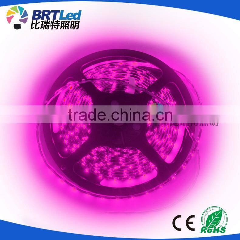 12v high lumen per meter 8mm 4.8 watt led strip