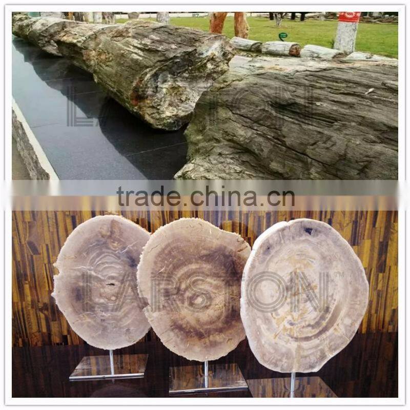 Natural gemstone wood fossil stone petrified wood