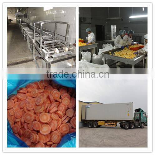 High Quality Chinese IQF Frozen Carrot sliced