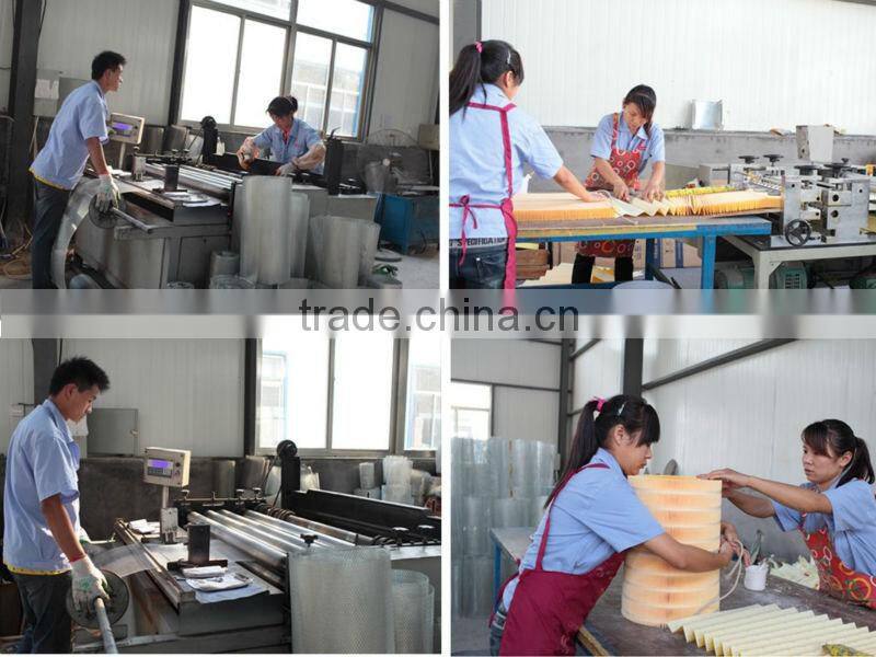 Truck Parts Diesel Filter VG14080739A