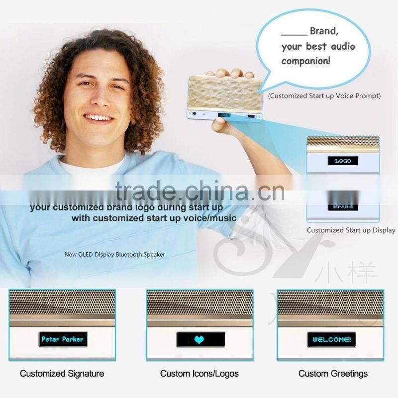 SHABA VS-33 Luxury-Portable HiFi Wireless Bluetooth Speaker Powerful Sound FM/NFC/Handsfree/Mic