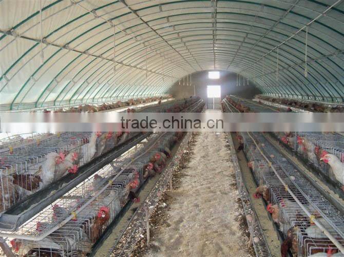 large span IE BV SGS certificate light steel structure pourly house chicken animal sheld