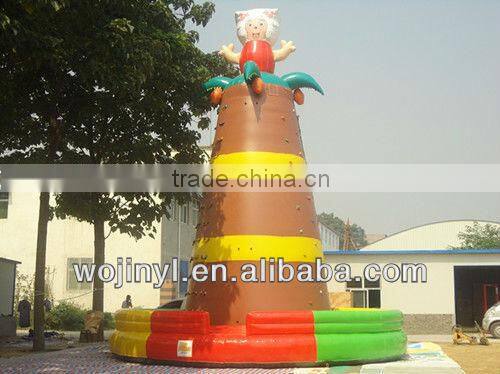 Kids rock backyard climbing wall