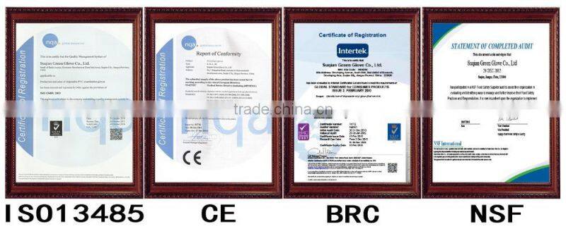 PE Disposable Clear Gloves