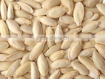 High Quality Lady nail pumpkin seeds