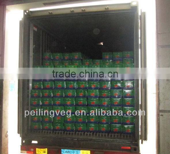 fresh carrots manufacturer