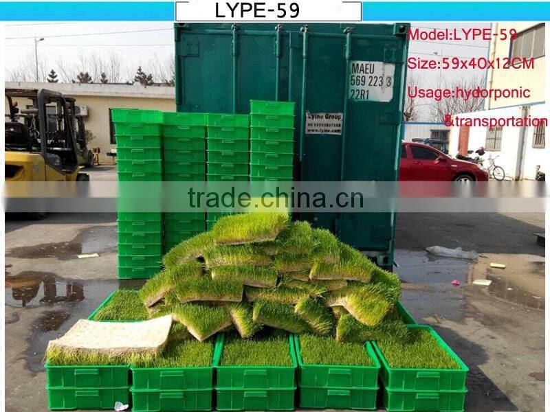 Large shallow tray for sale plastic plant seed tray