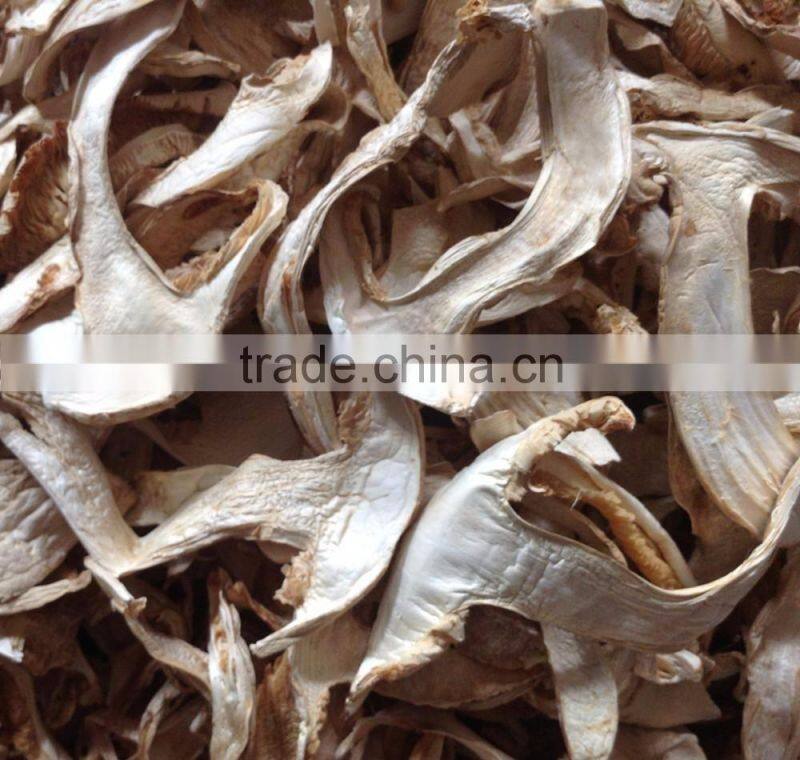 Hot Selling Low Price Dried Boletus Edulis