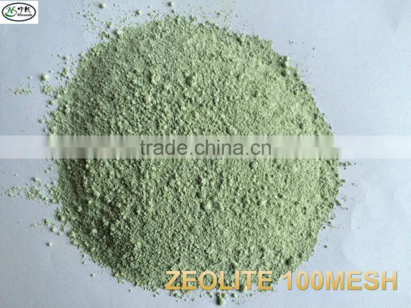 BULK Zeolite ULTRA FINE Natural Organic Mineral Powder Dust CLINOPTILOLITE