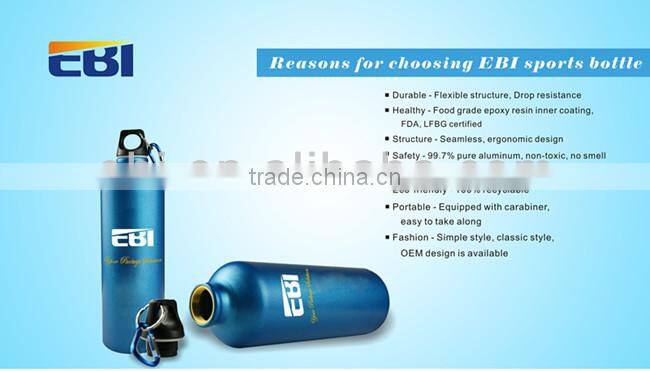 Colorful popular sports bottle 500ml