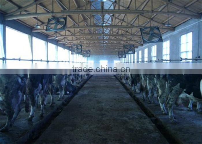 Dairy Cows Pipeline Milking Machine System