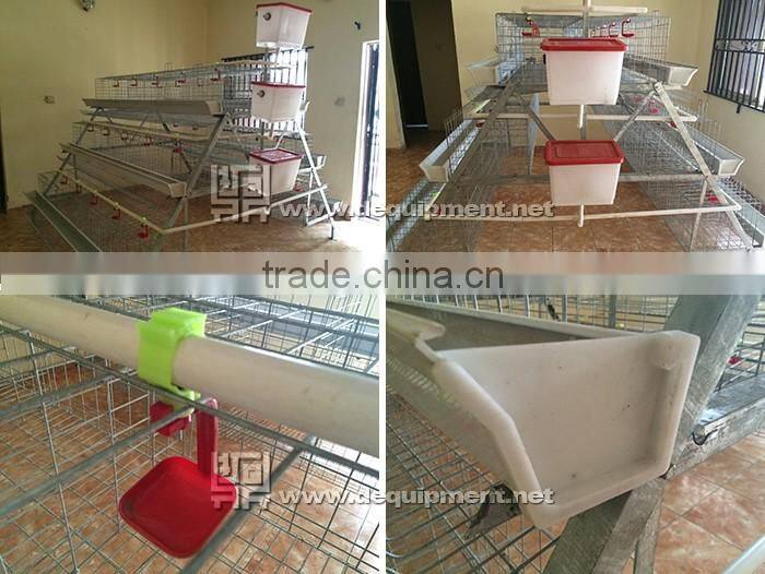 TA NO.1 lagos sample 120 birds a type poultry battery cage for nigerian farm