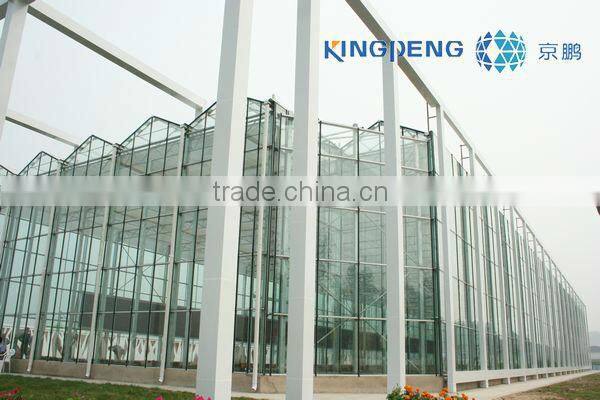 Multi Span Glass Greenhouse for Horticulture